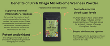 Load image into Gallery viewer, ๐ฟ Birch Chaga Microbiome Wellness Powder ๐๐ฆ
