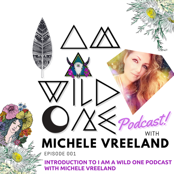 EP001 "Introduction to "I am a Wild One" Podcast with Michele Vreeland"