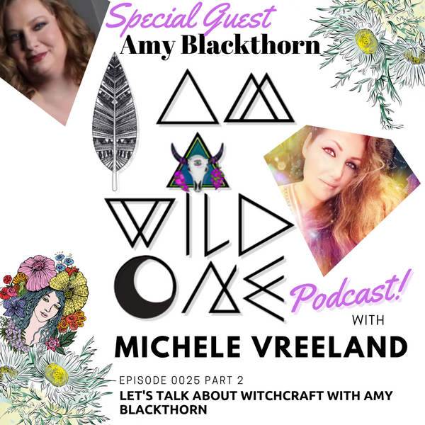 EP0025 PART 2 A conversation with Author Amy Blackthorn