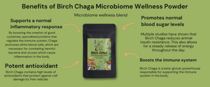 🌿 Birch Chaga Microbiome Wellness Powder 🌟🦠